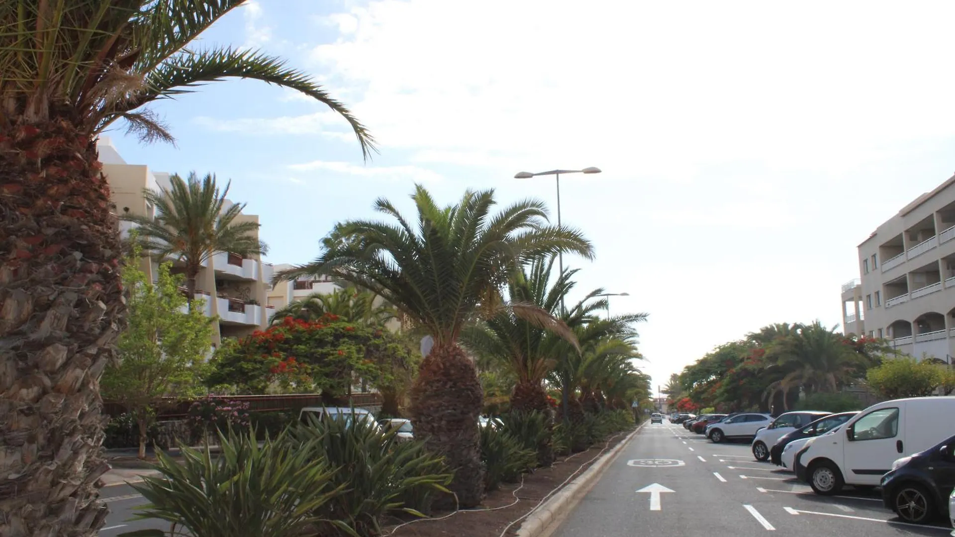 Beautiful Apartment With Pool In Palm Mar